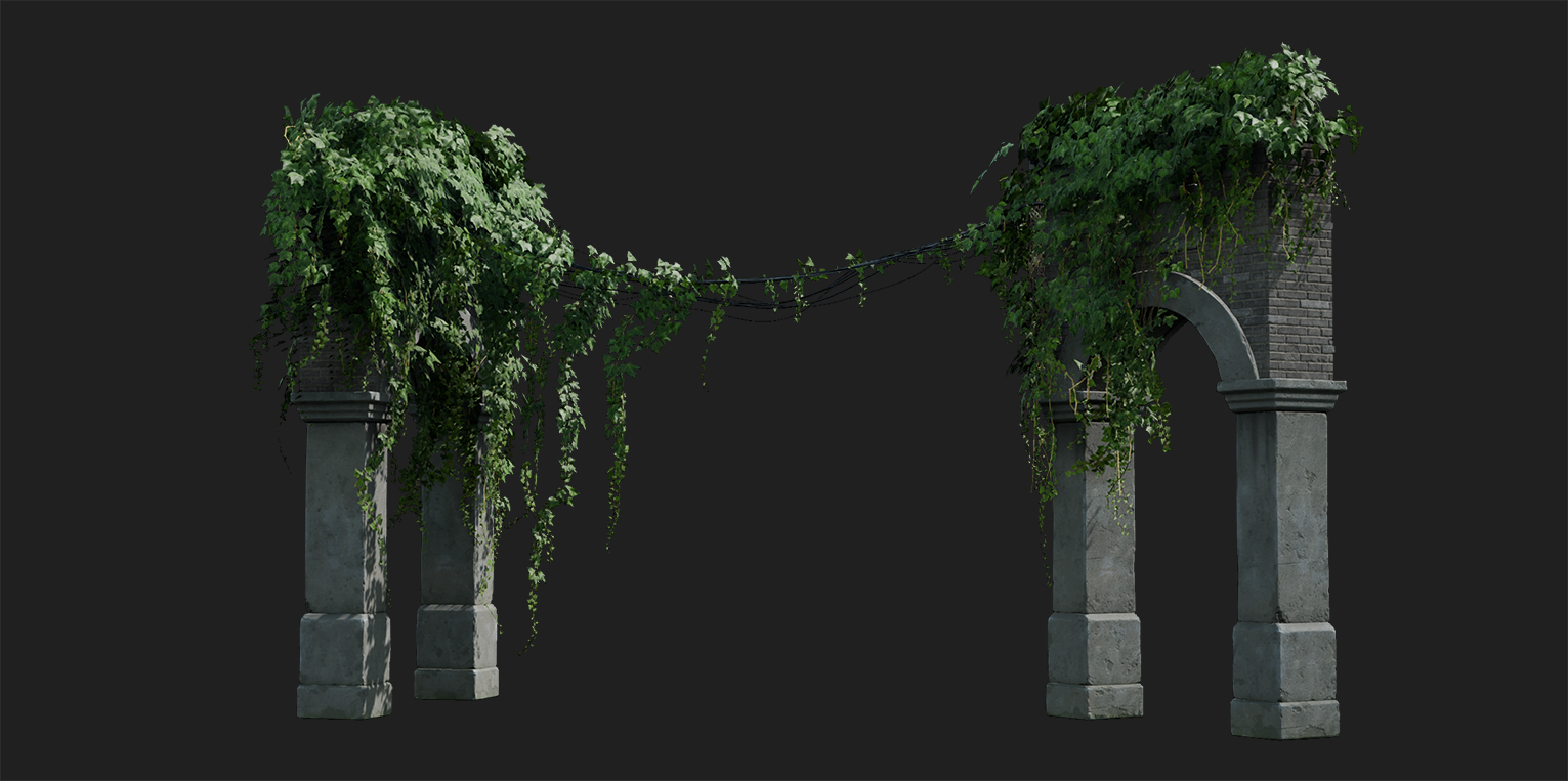 ivy